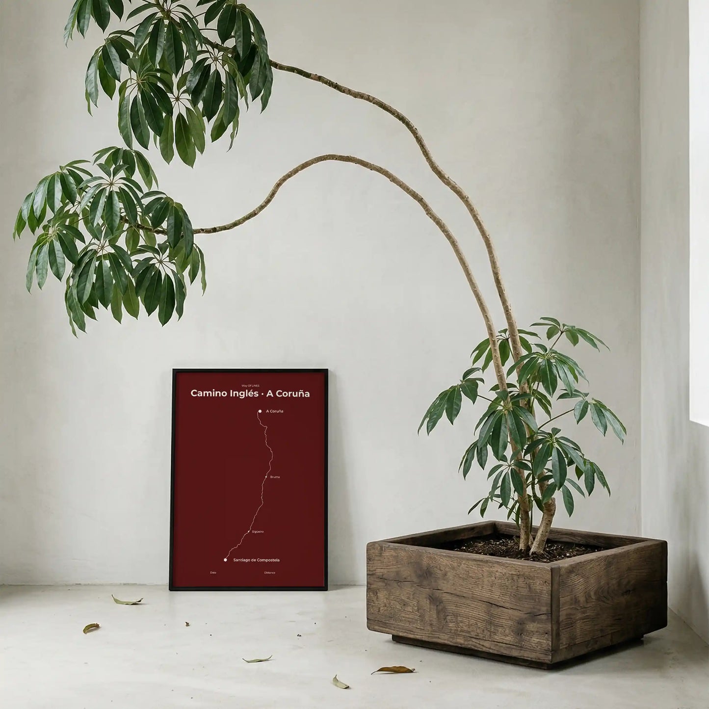 Minimalist Camino Inglés A Coruña to Santiago map poster in reserve red color, interior mockup.